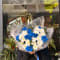 Bouquet Bleu Of Joie